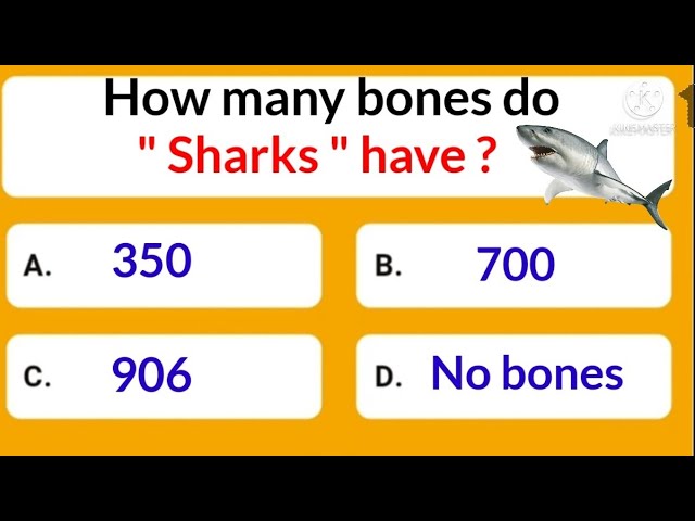 how many bones do sharks have amazon quiz