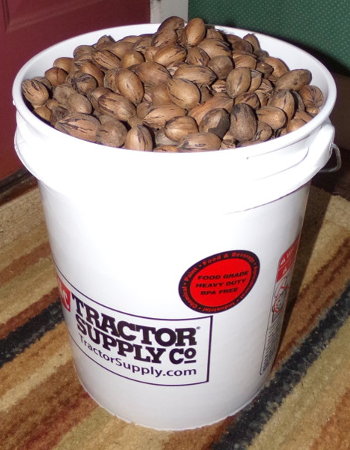 how many pounds of pecans in a 5 gallon bucket