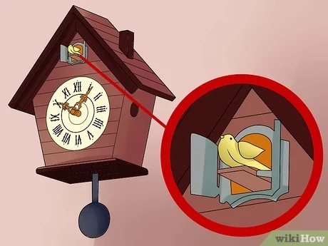 how to wind up a cuckoo clock