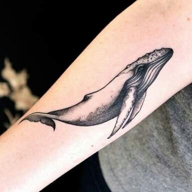 humpback tattoo