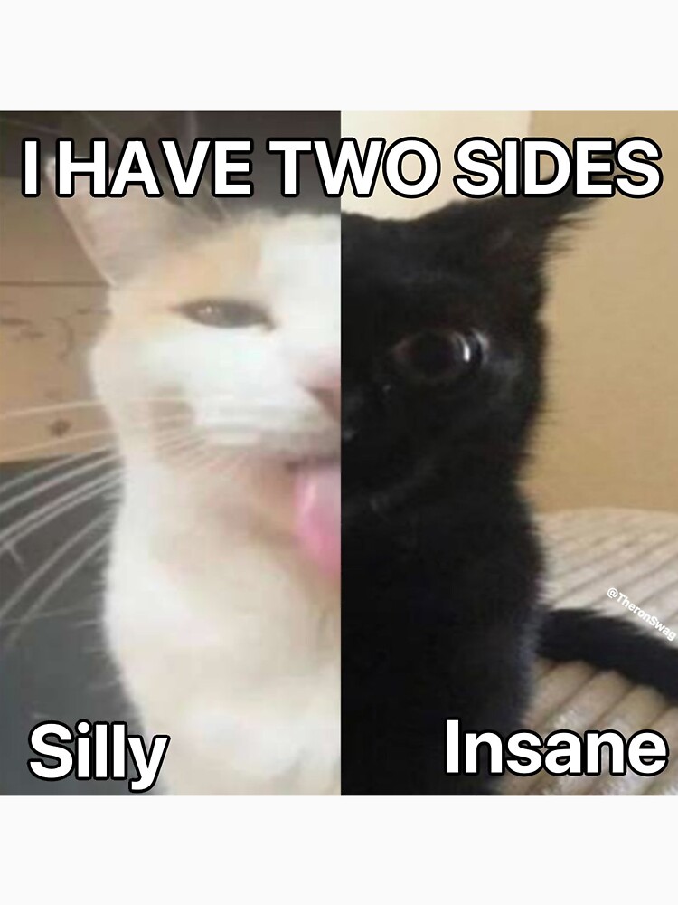 i have two sides meme