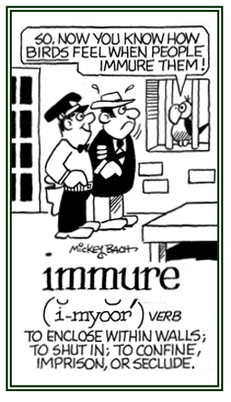 immure meaning