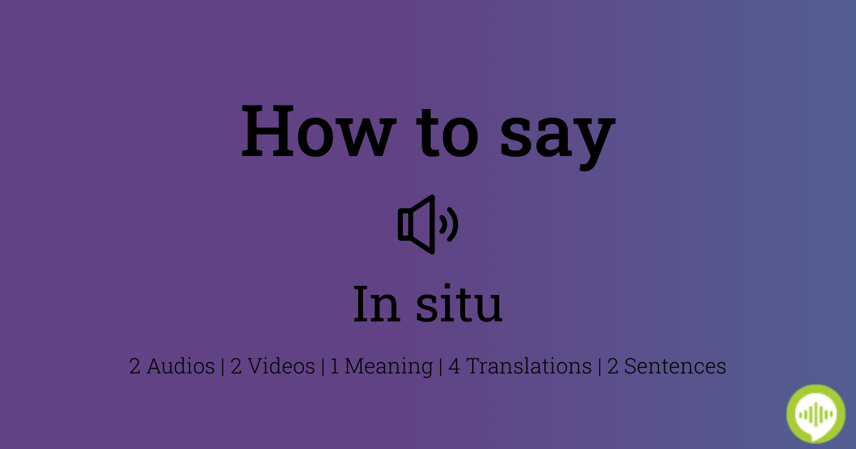 in situ pronunciation