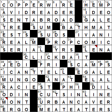 infrequent crossword clue