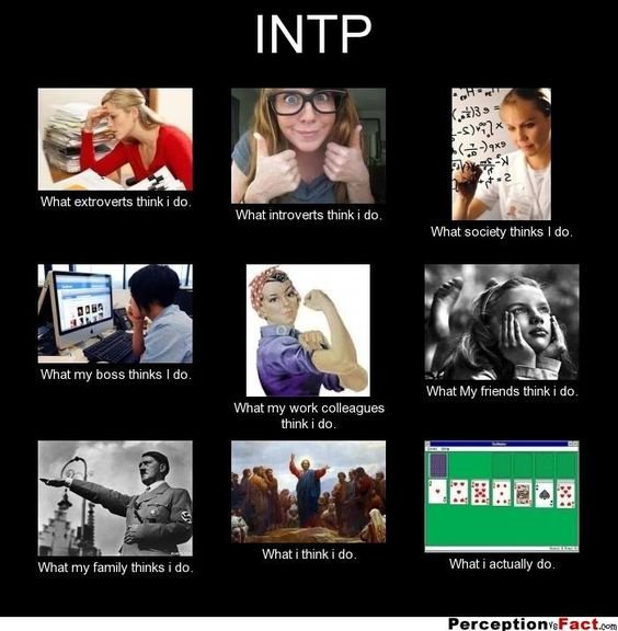 intp memes