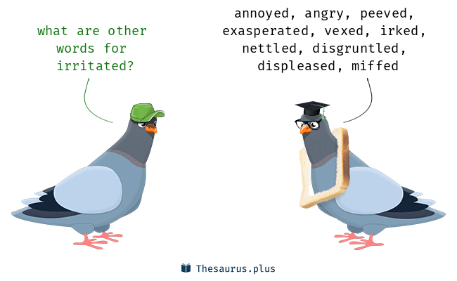 irritated synonym