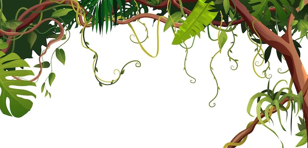 jungle vines clipart