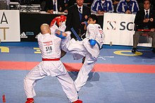 karate wikipedia español