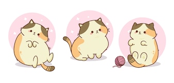 kawaii pics of cats