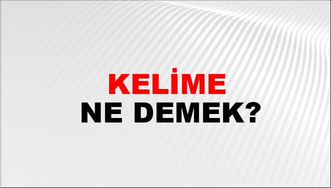 kelime sözcük anlamı