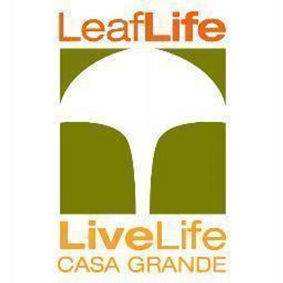 leaf life casa grande