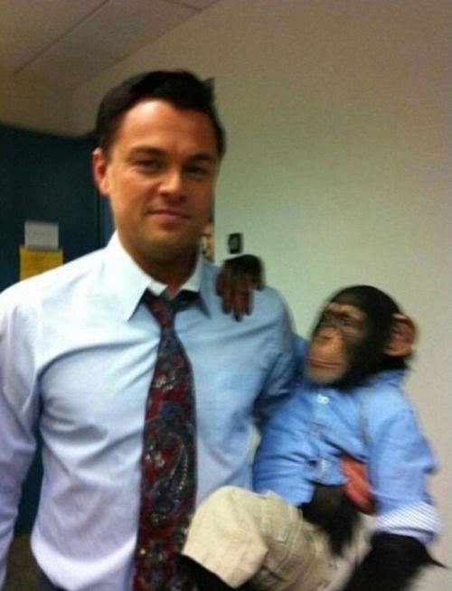 leonardo dicaprio monkey