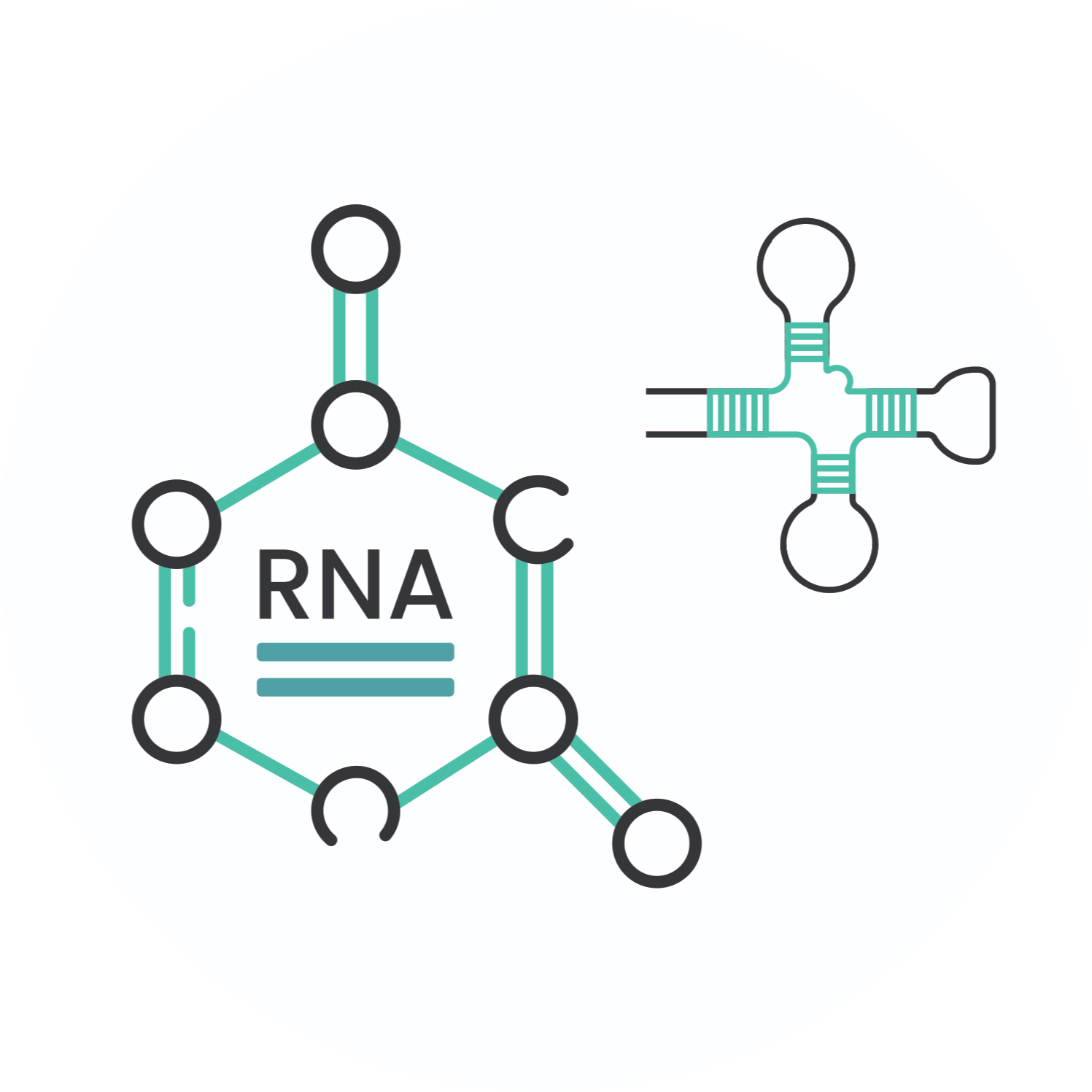 long non coding rna