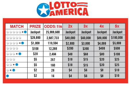 lotto america numbers