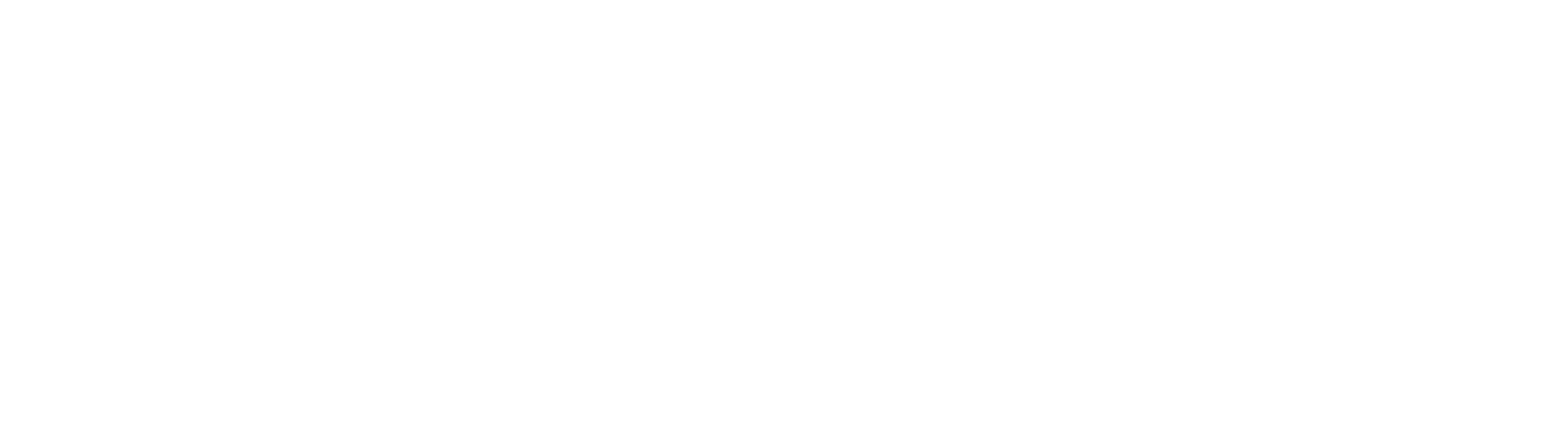 lowa logo