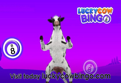 luckycow bingo