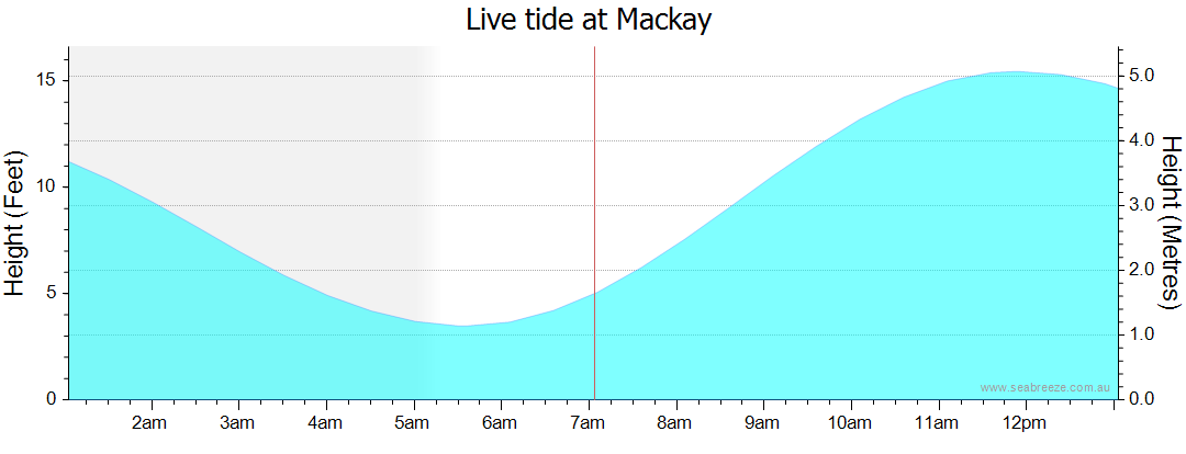 mackay tide times