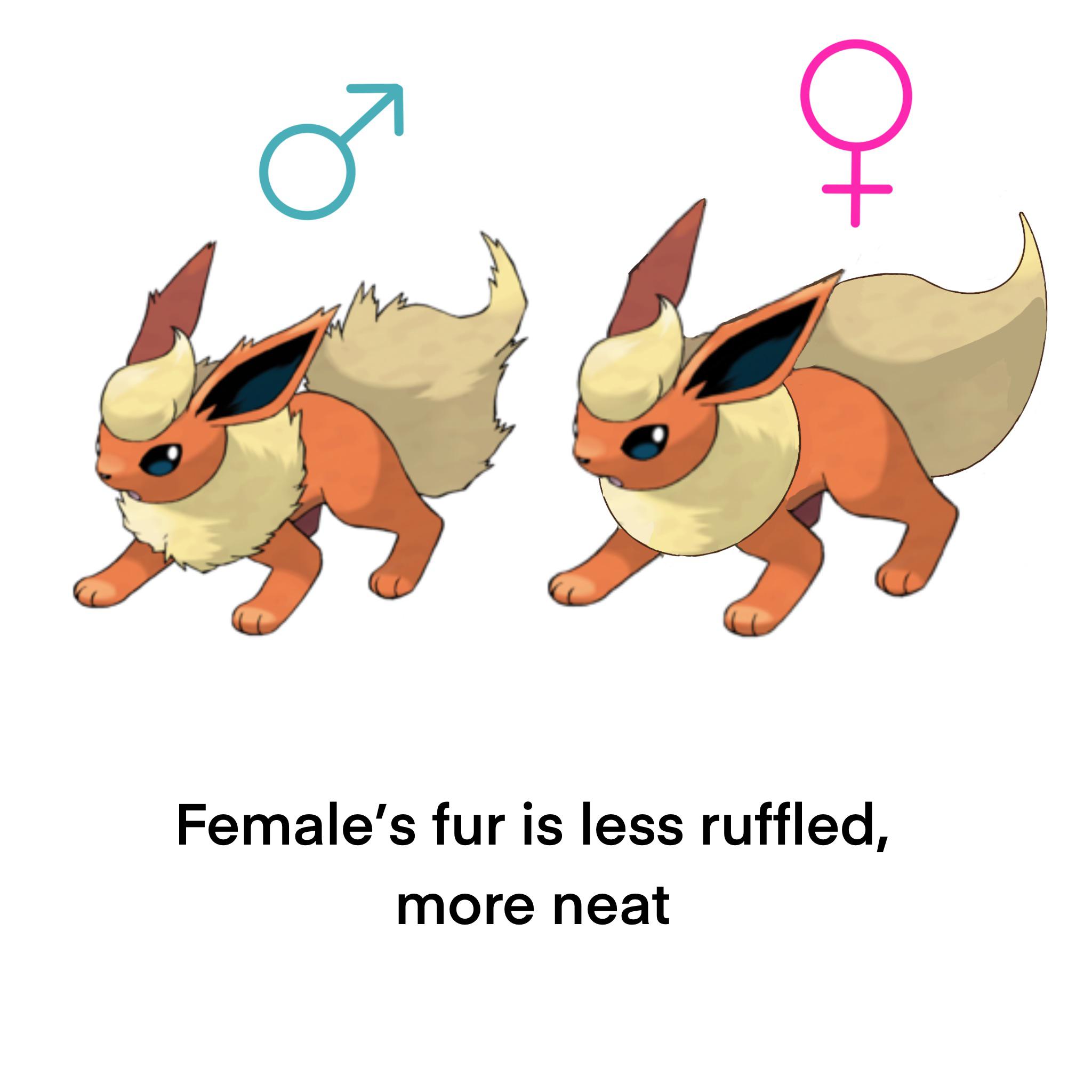 male eevee vs female eevee