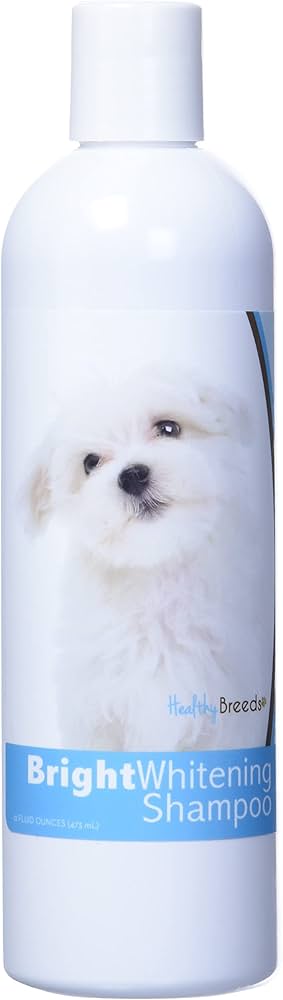 maltese shampoo