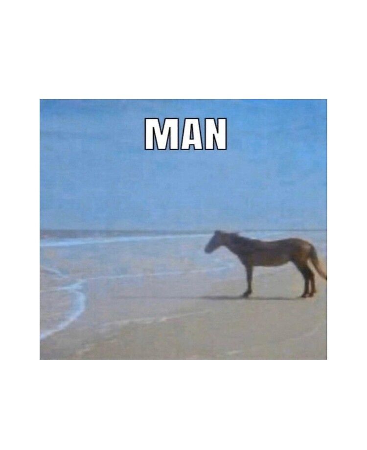 man horse meme