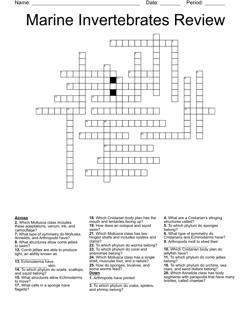 marine echinoderm crossword