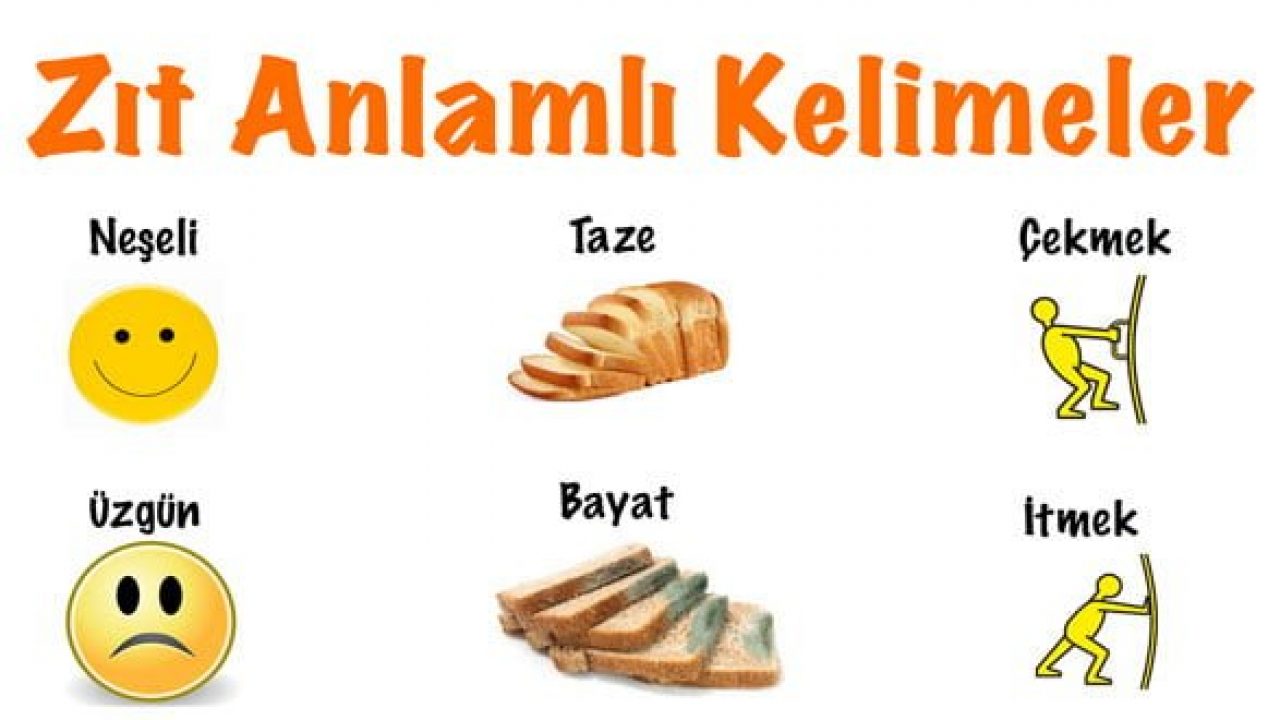 mat zit anlami