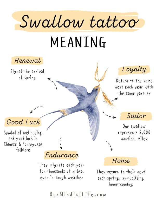 meaning of a swallow tattoo
