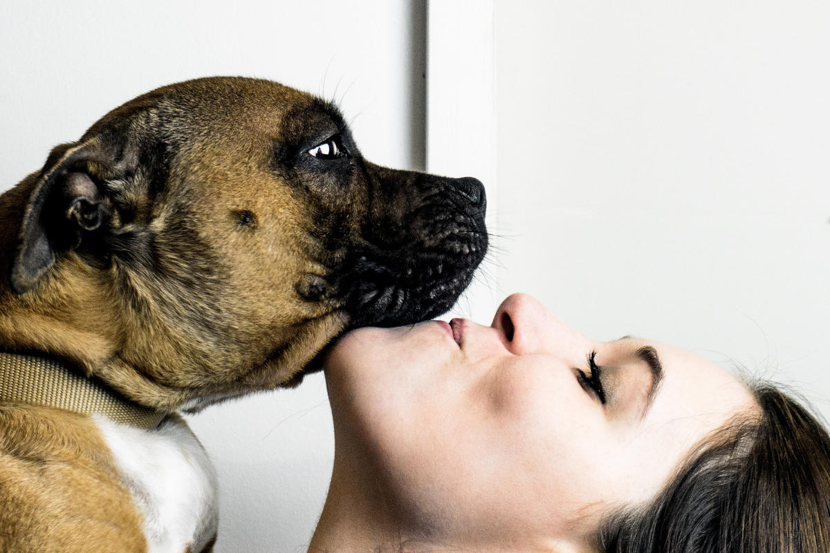 mejeres teniendo sexo con perros