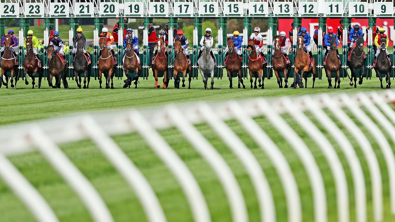 melbourne cup trifecta odds