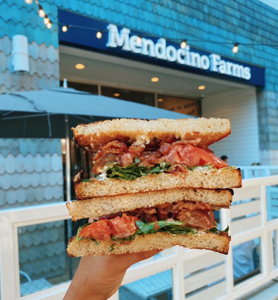 mendocino farms