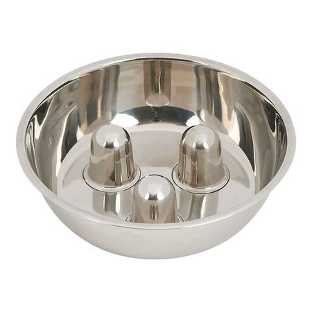 metal slow feeder dog bowl