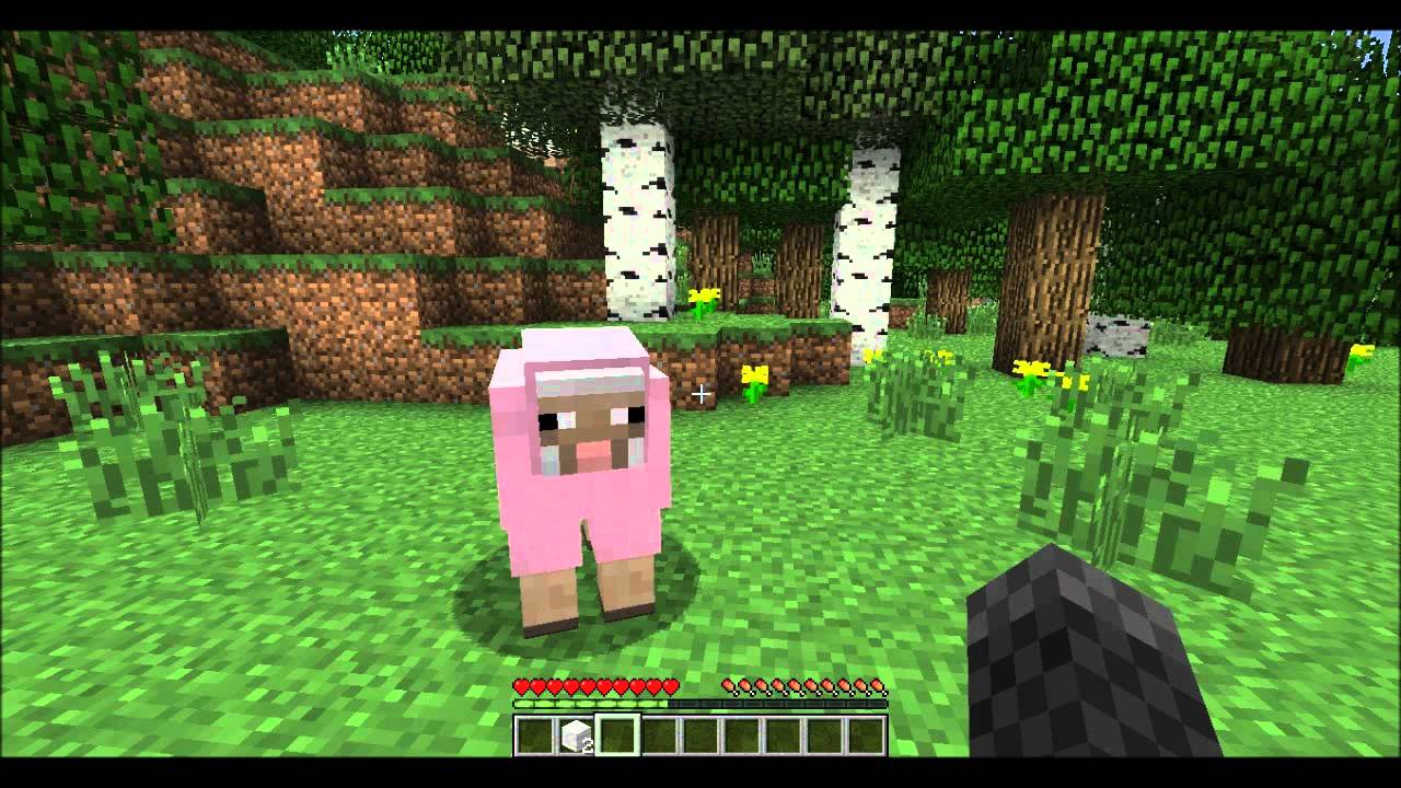 minecraft how to make sheep follow you