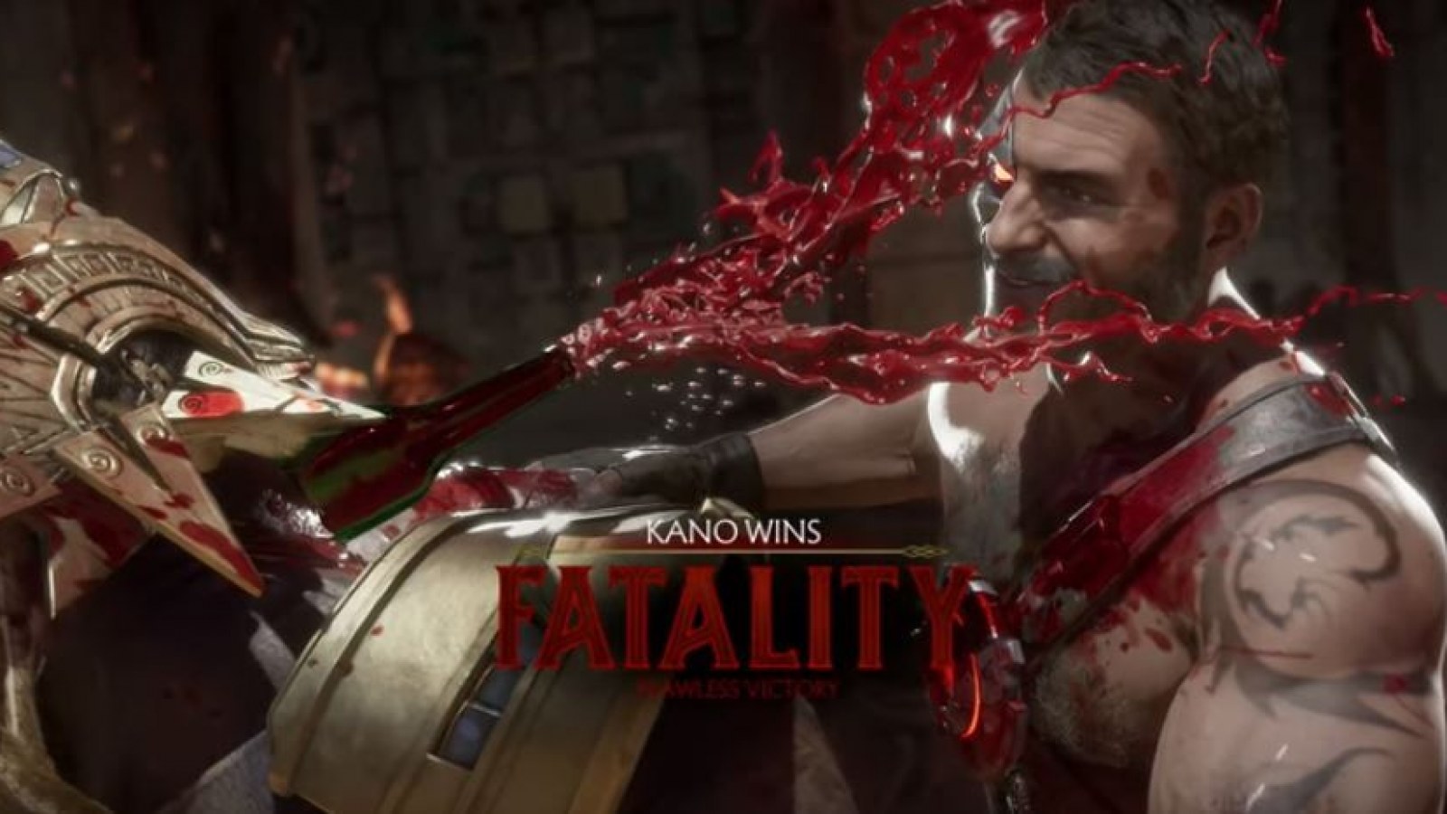 mk11 fatalities