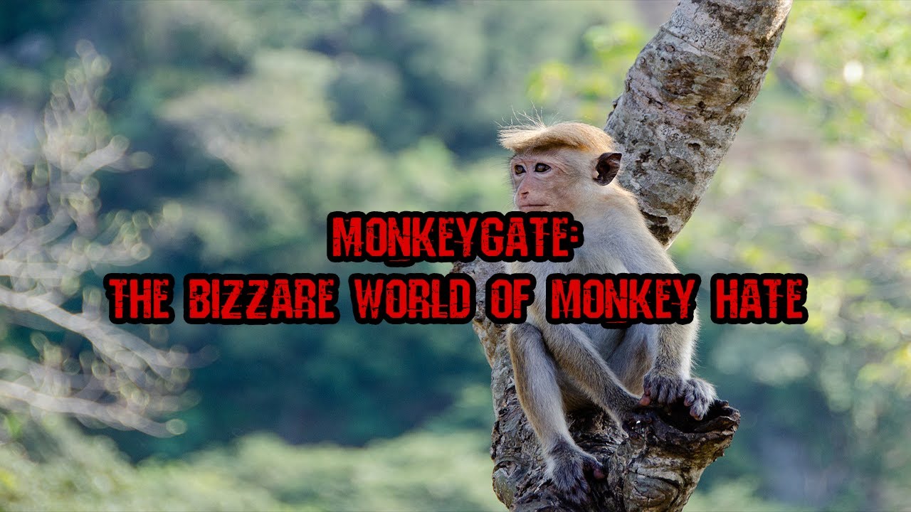 monkey hate