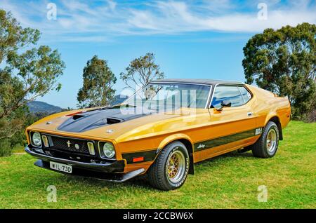 mustang mach 1 1973