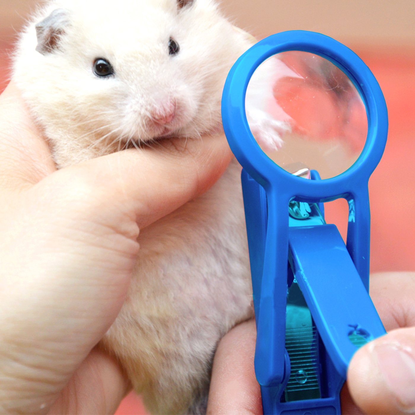 nail clippers for guinea pigs