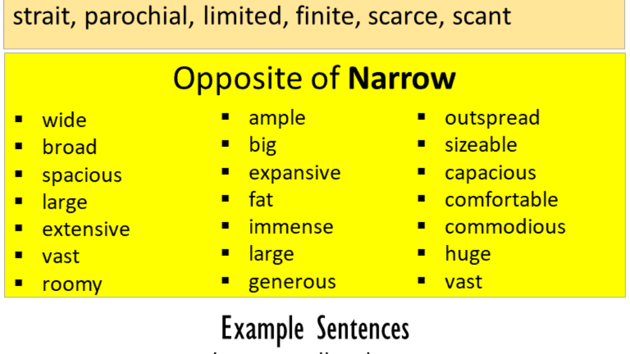 narrow antonym