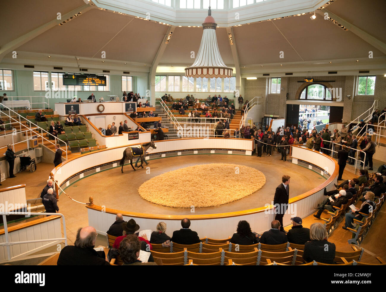 newmarket sales tattersalls