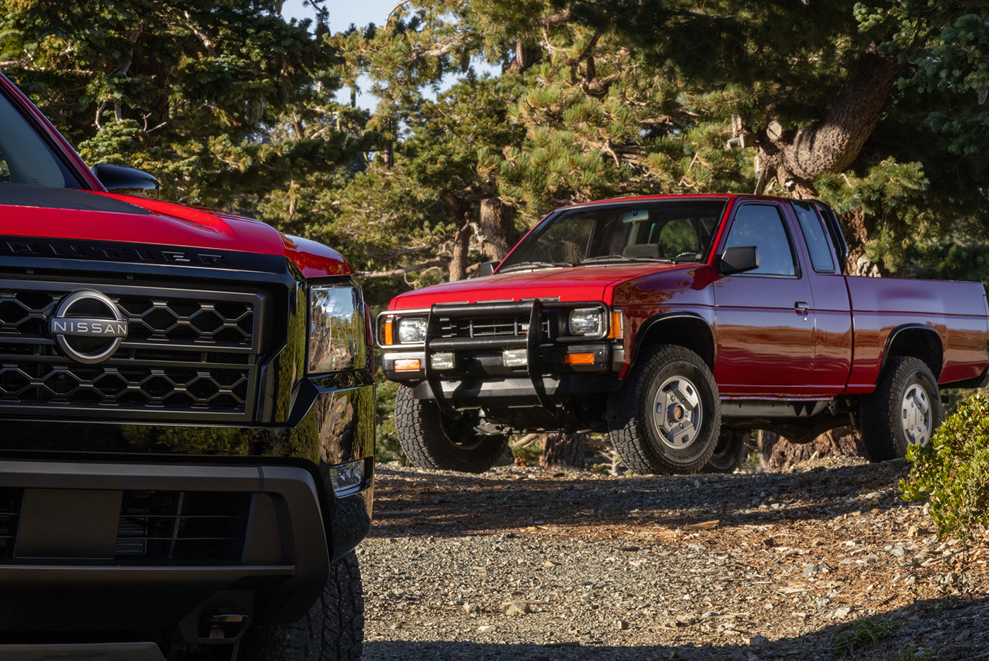 nissan hardbody