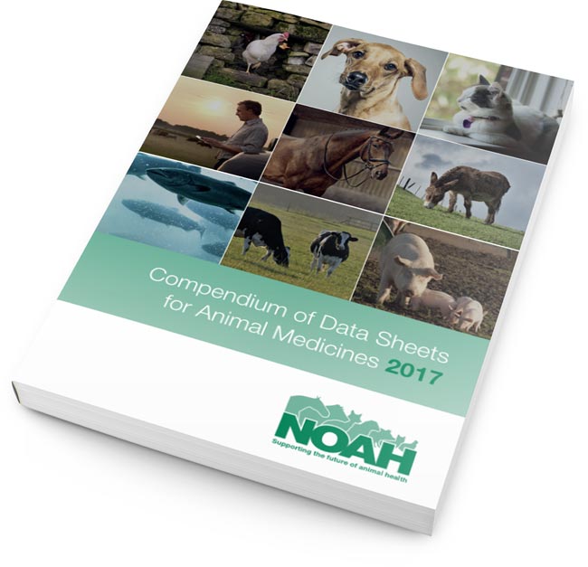 noah compendium