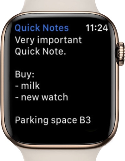 notes on apple watch