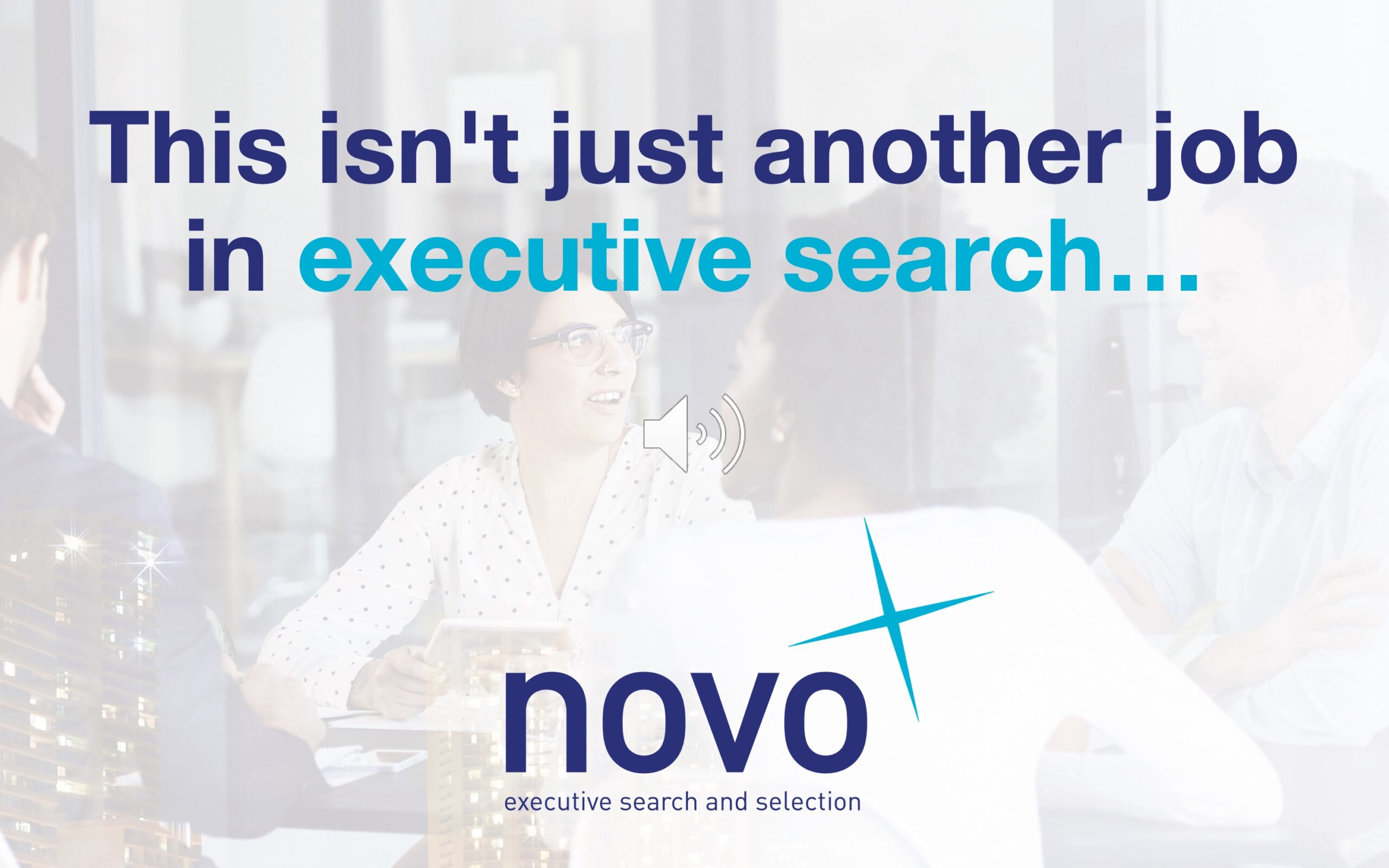 novo executive search