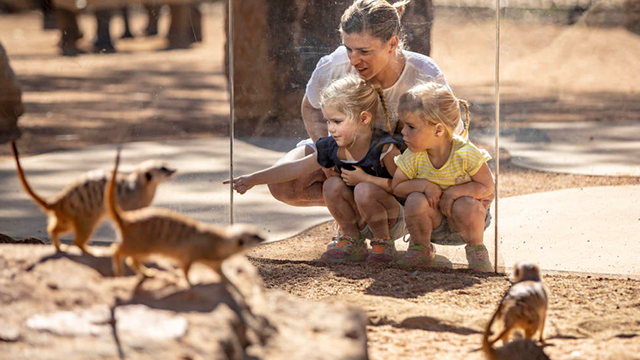 nrma sydney zoo