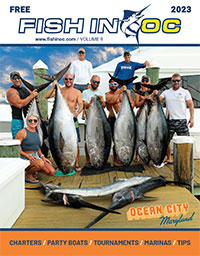 oc md fishing report