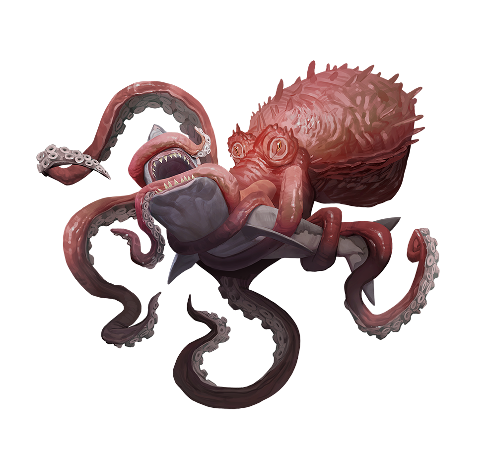 octopus 5e