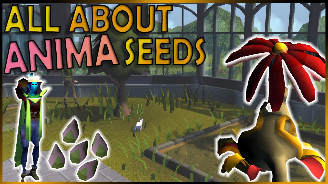 osrs anima seeds