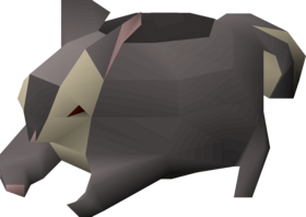 osrs black chinchompa