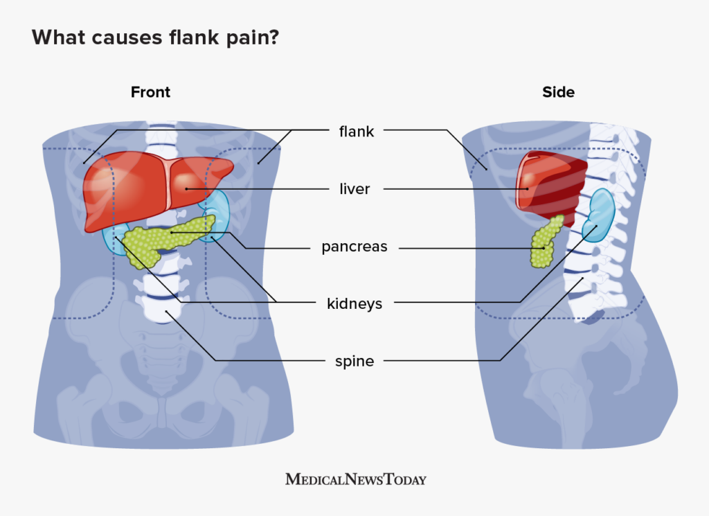 pain in side under ribs at the back right