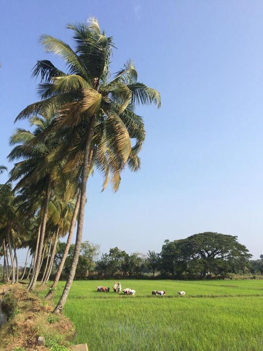 palakkad beauty