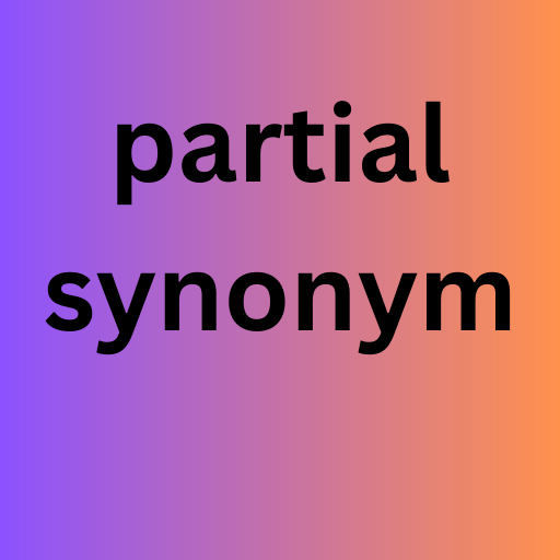 partial payment synonym